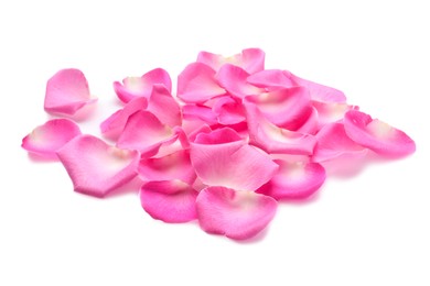 Photo of Many pink rose petals on white background