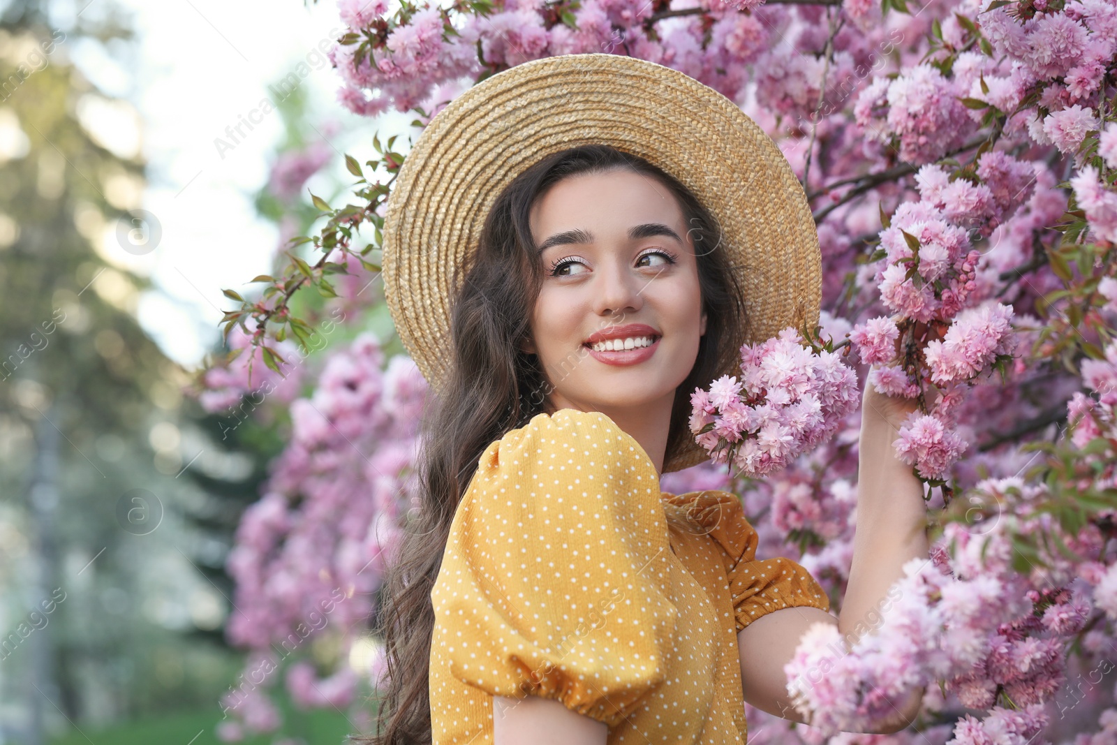 Photo of Beautiful woman near blossoming sakura tree on spring day