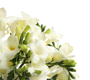 Photo of Beautiful freesia flowers on white background, closeup