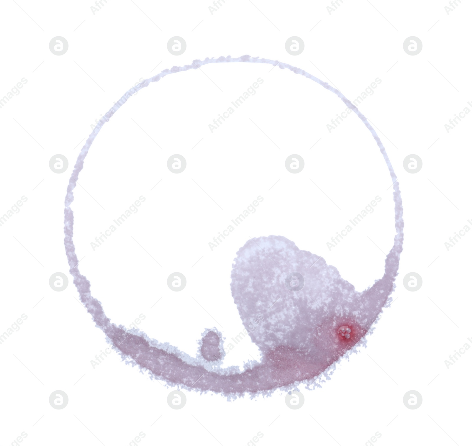 Photo of Wine ring on white background, top view