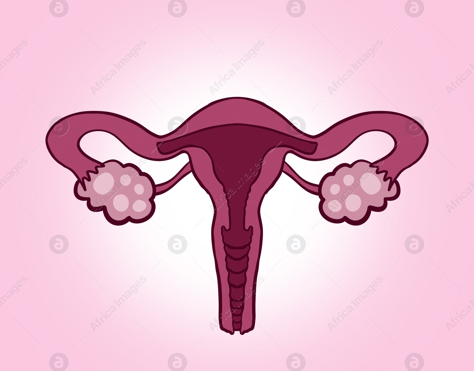 Image of Female reproductive system on pink gradient background, illustration