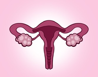 Image of Female reproductive system on pink gradient background, illustration