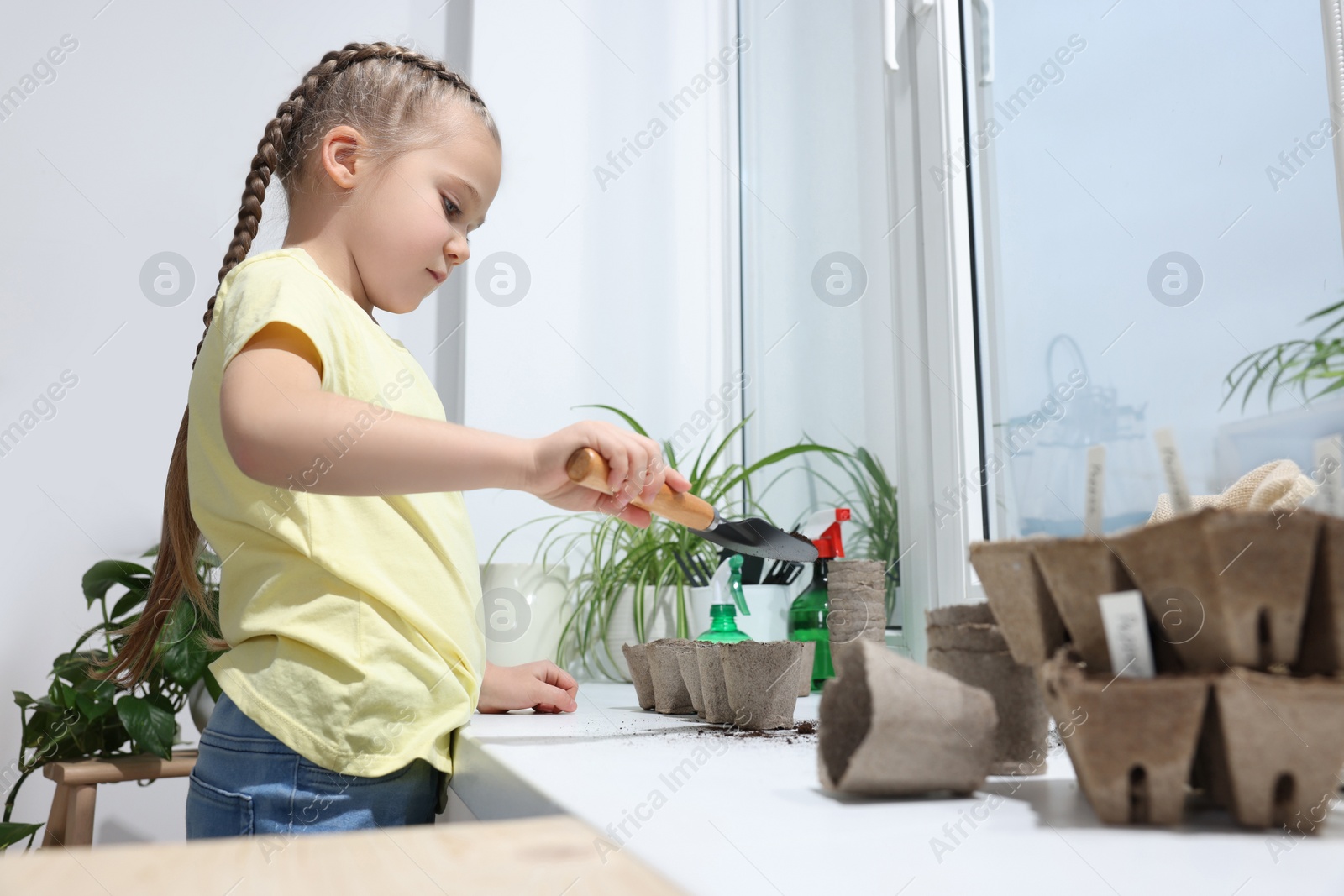 Photo of Little girl adding soil into peat pots on window sill indoors. Growing vegetable seeds