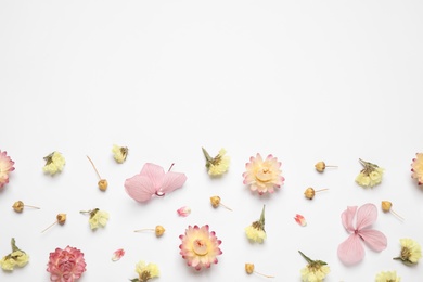 Beautiful fresh and dry flowers on white background, flat lay. Space for text