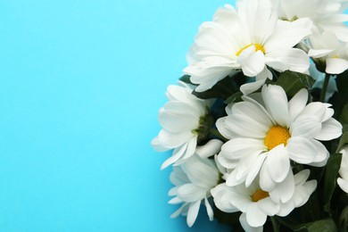 Beautiful white chrysanthemum flowers on light blue background, top view. Space for text