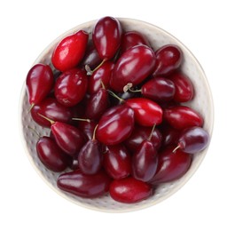 Fresh ripe dogwood berries in bowl on white background, top view