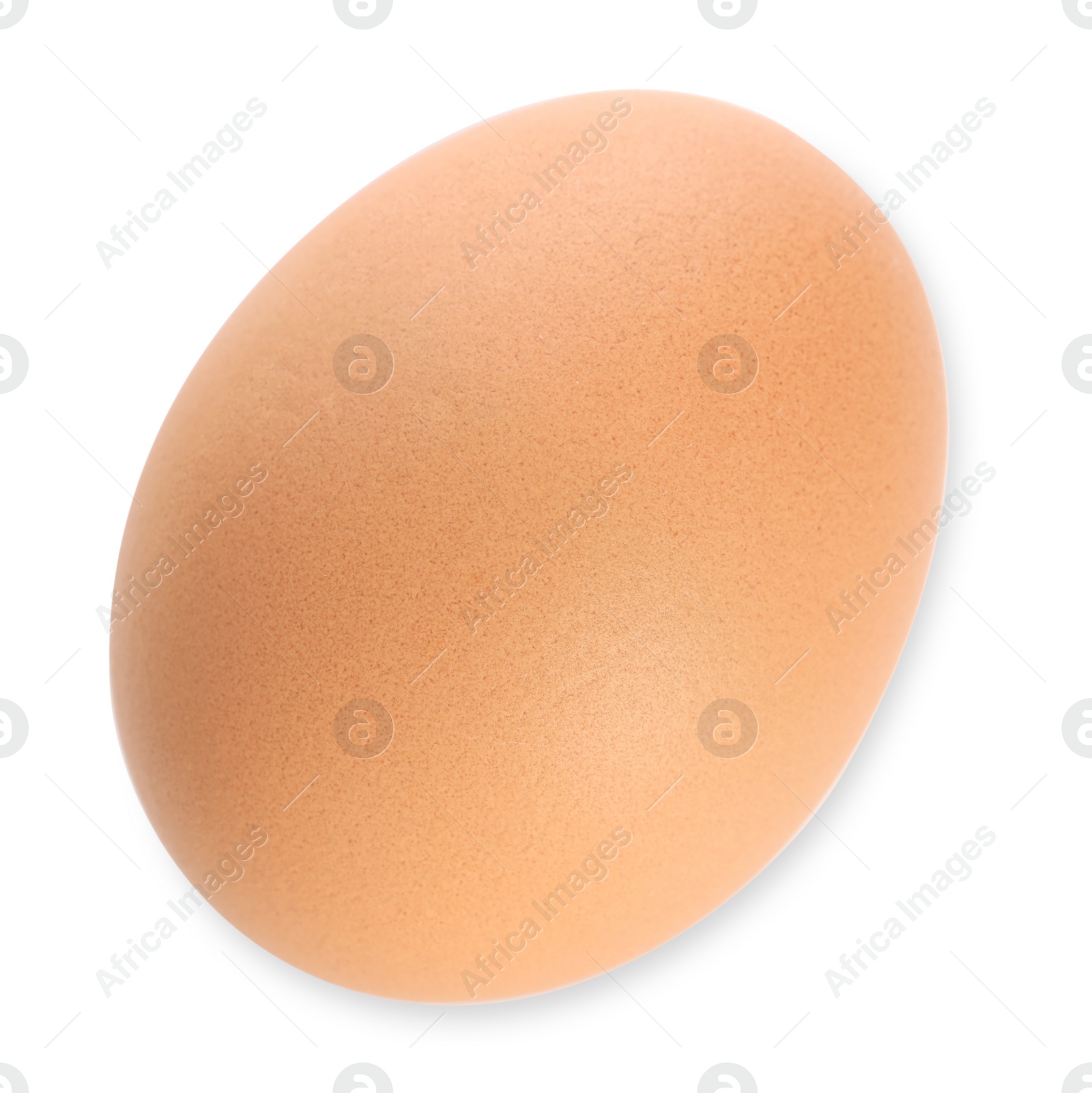 Photo of One raw chicken egg isolated on white