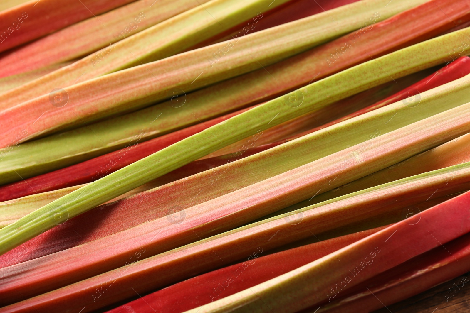 Photo of Many ripe rhubarb stalks as background, closeup