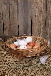 Fresh chicken eggs in wicker basket on dried straw near wooden wall