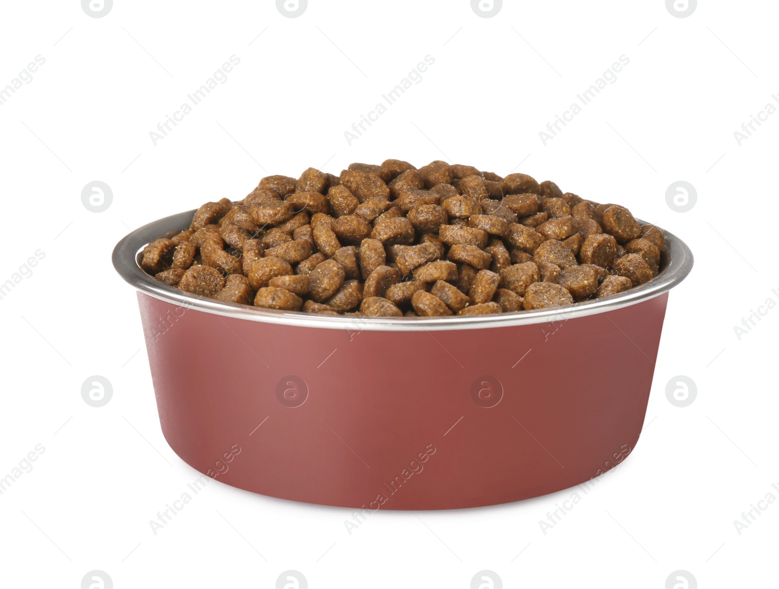 Photo of Dry dog food in pet bowl isolated on white