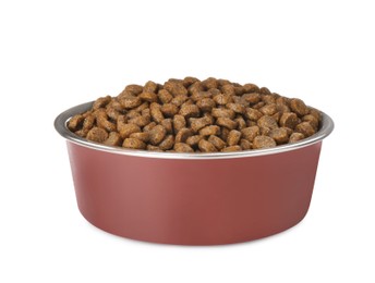 Photo of Dry dog food in pet bowl isolated on white