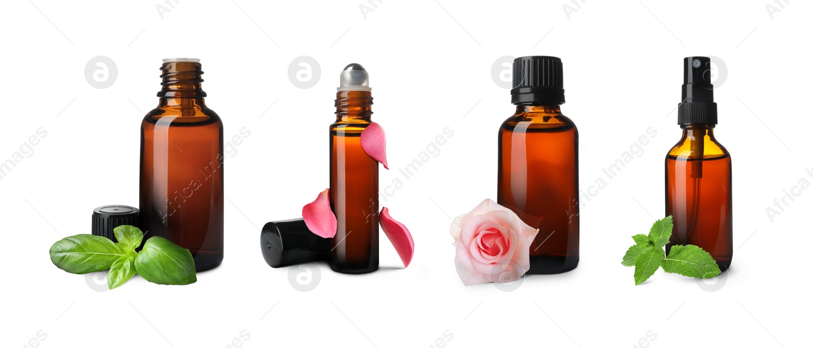 Image of Set of different essential oils in bottles and ingredients on white background