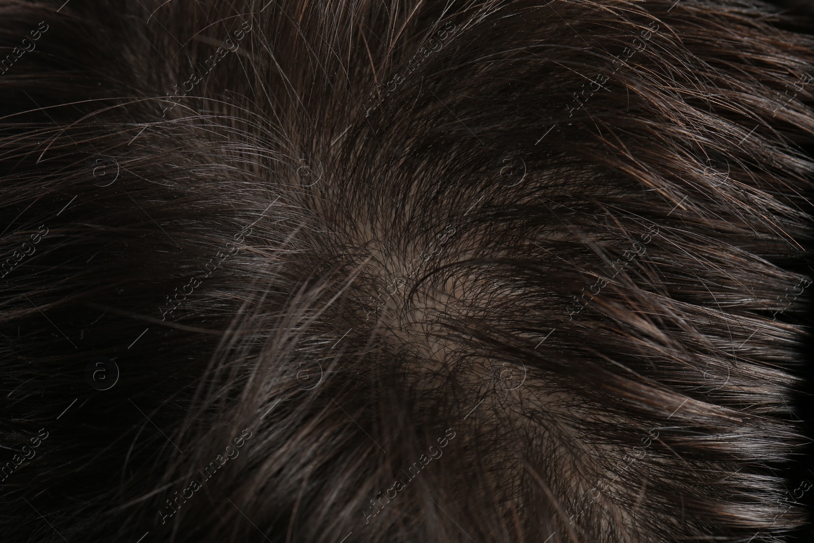 Photo of Man with healthy dark hair, macro view