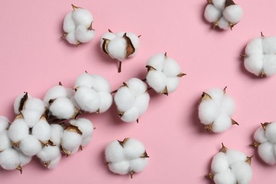 Branch with cotton flowers on pink background, top view