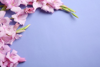 Photo of Flat lay composition with beautiful gladiolus flowers on color background