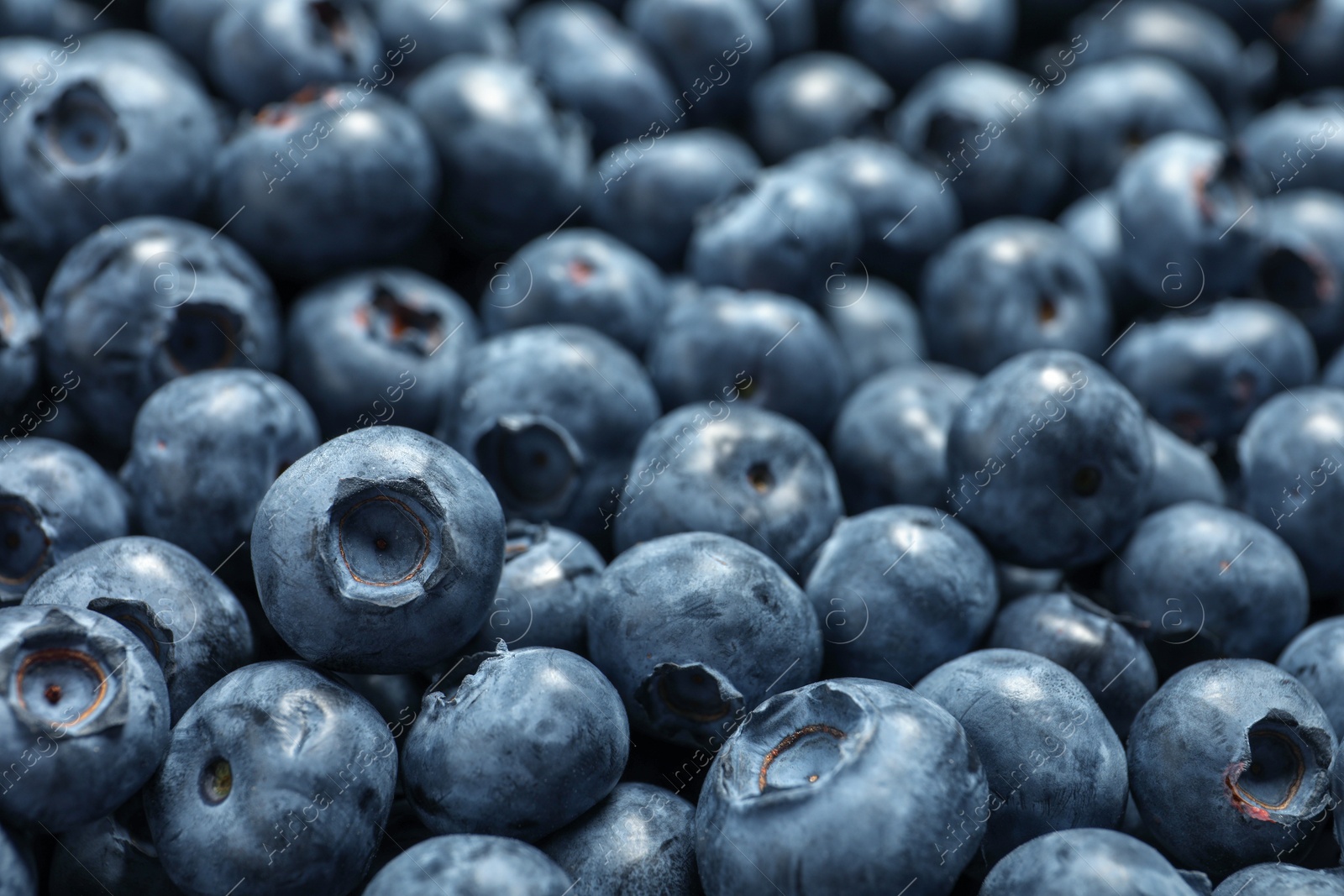 Photo of Tasty fresh blueberries as background, closeup view