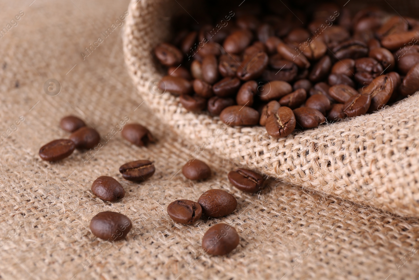 Photo of Many coffee beans on burlap fabric, closeup