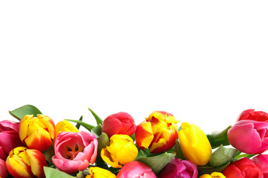 Photo of Beautiful bright spring tulips on white background