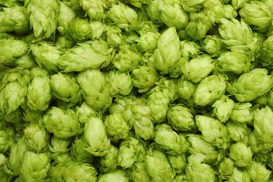 Fresh green hops as background, top view