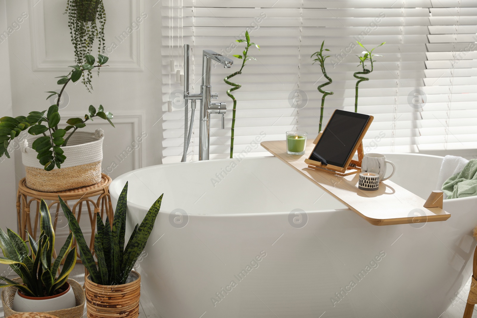 Photo of Stylish white tub and green houseplants in bathroom. Interior design