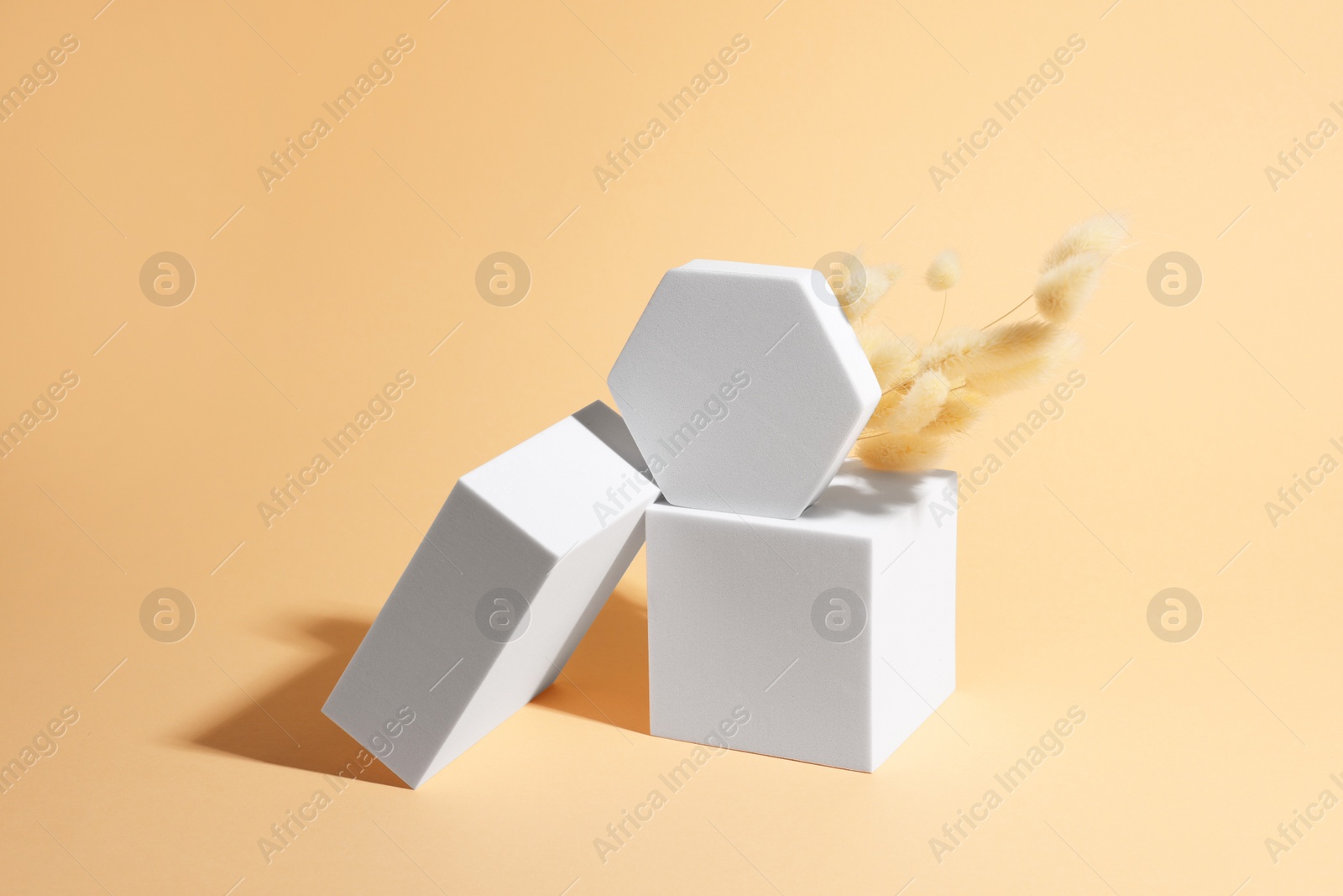 Photo of Scene with podium for product presentation. Figures of different geometric shapes and dry plant on pale orange background