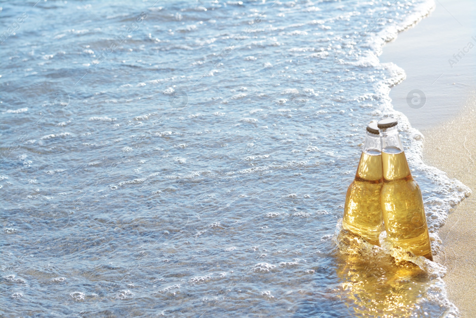 Photo of Bottles of cold beer in sea water, space for text