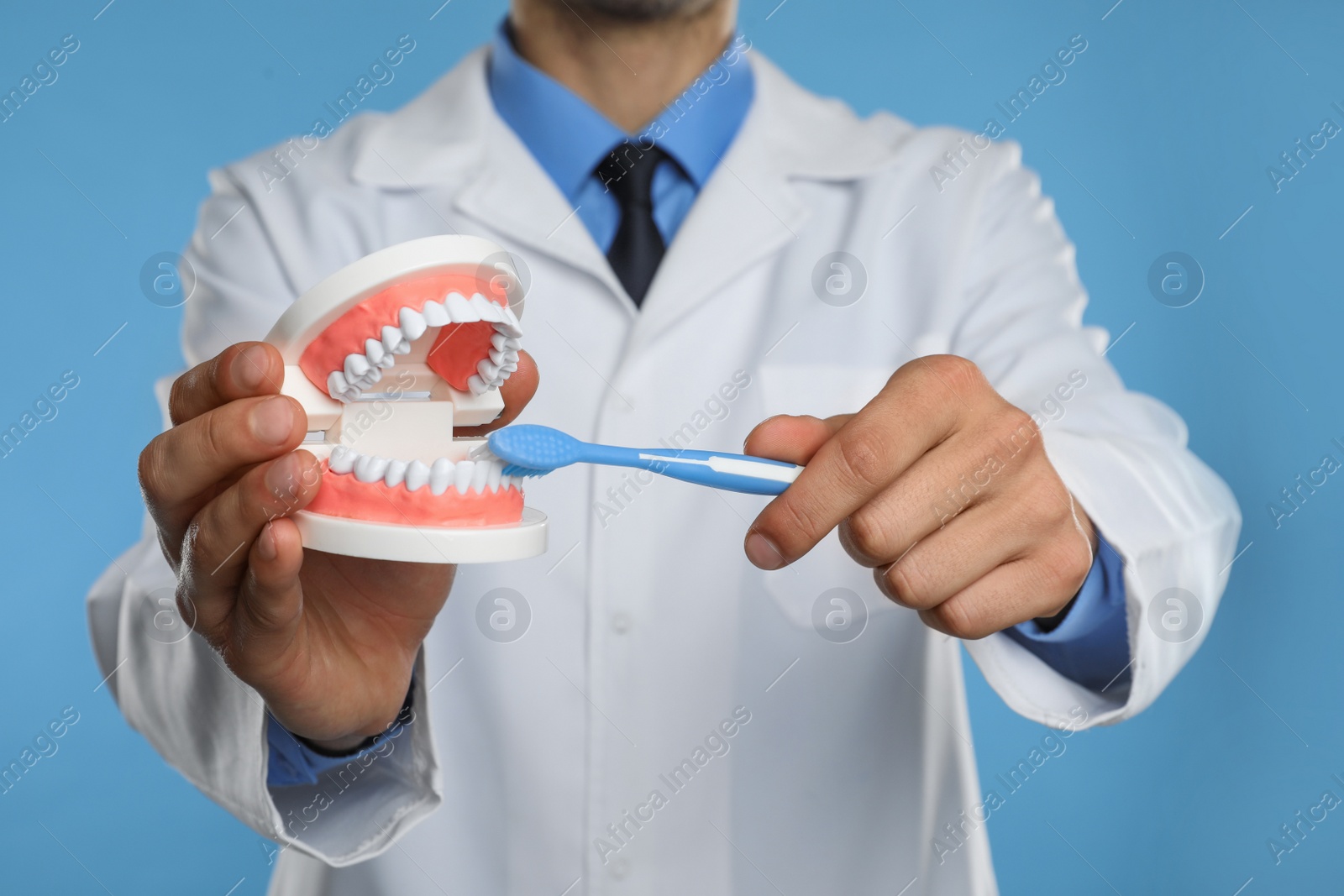 Photo of Dentist with jaws model and toothbrush on light blue background, closeup. Oral care demonstration