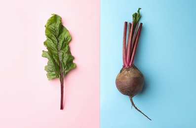 Whole fresh red beet and leaf on color background, flat lay