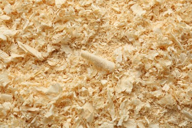 Dry natural sawdust as background, top view