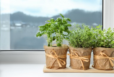 Photo of Different fresh potted herbs on windowsill indoors. Space for text