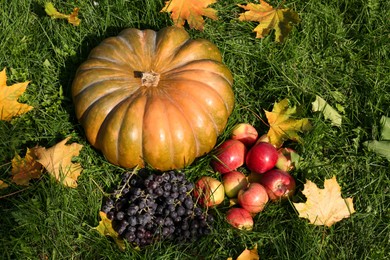 Ripe pumpkin, fruits and maple leaves on green grass outdoors, above view. Autumn harvest