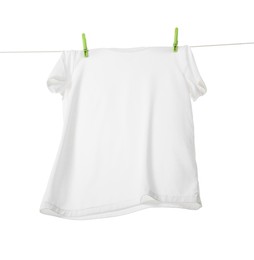 Photo of One t-shirt drying on washing line isolated on white, low angle view