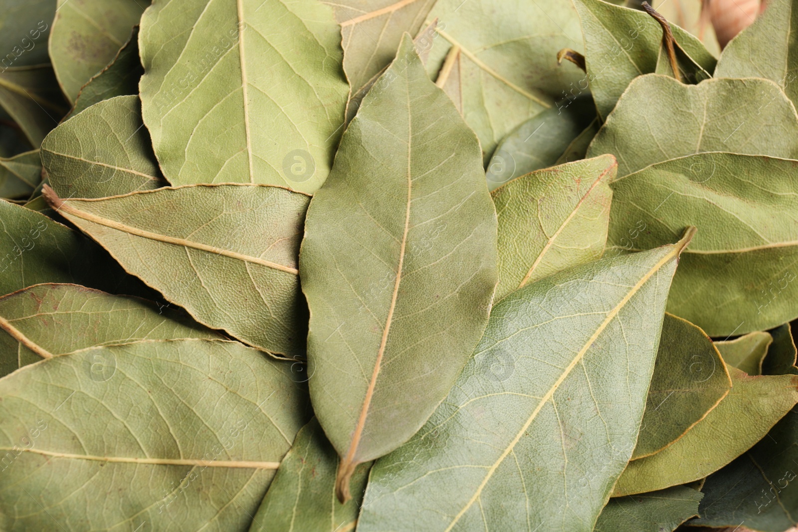 Photo of Aromatic bay leaves as background, closeup view