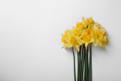 Photo of Beautiful yellow daffodils on white background, top view. Space for text