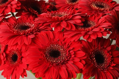 Photo of Bouquet of beautiful red gerbera flowers, closeup