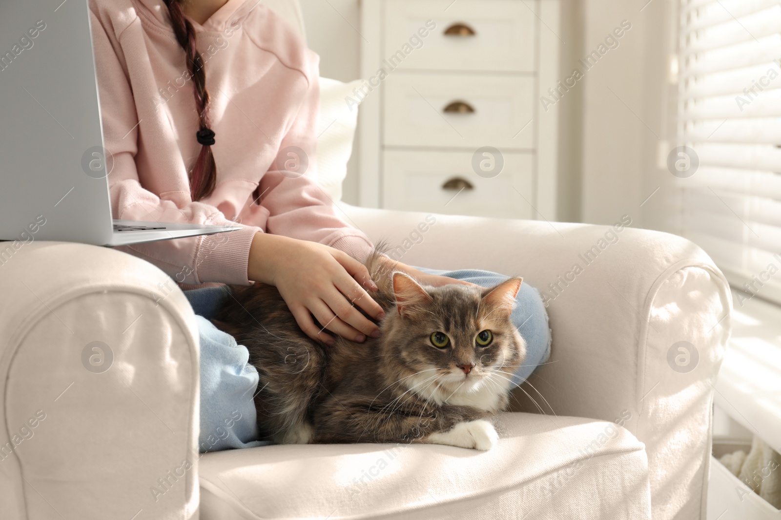 Photo of Cute little girl with cat in armchair at home, closeup. First pet