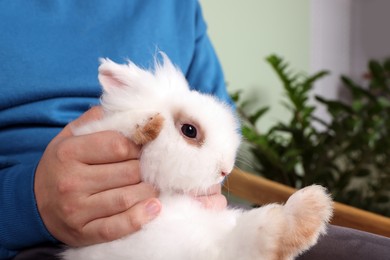 Man with fluffy white rabbit indoors, closeup. Cute pet