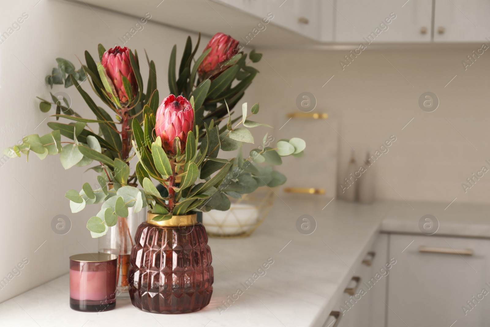 Photo of Beautiful protea flowers on countertop in kitchen, space for text. Interior design