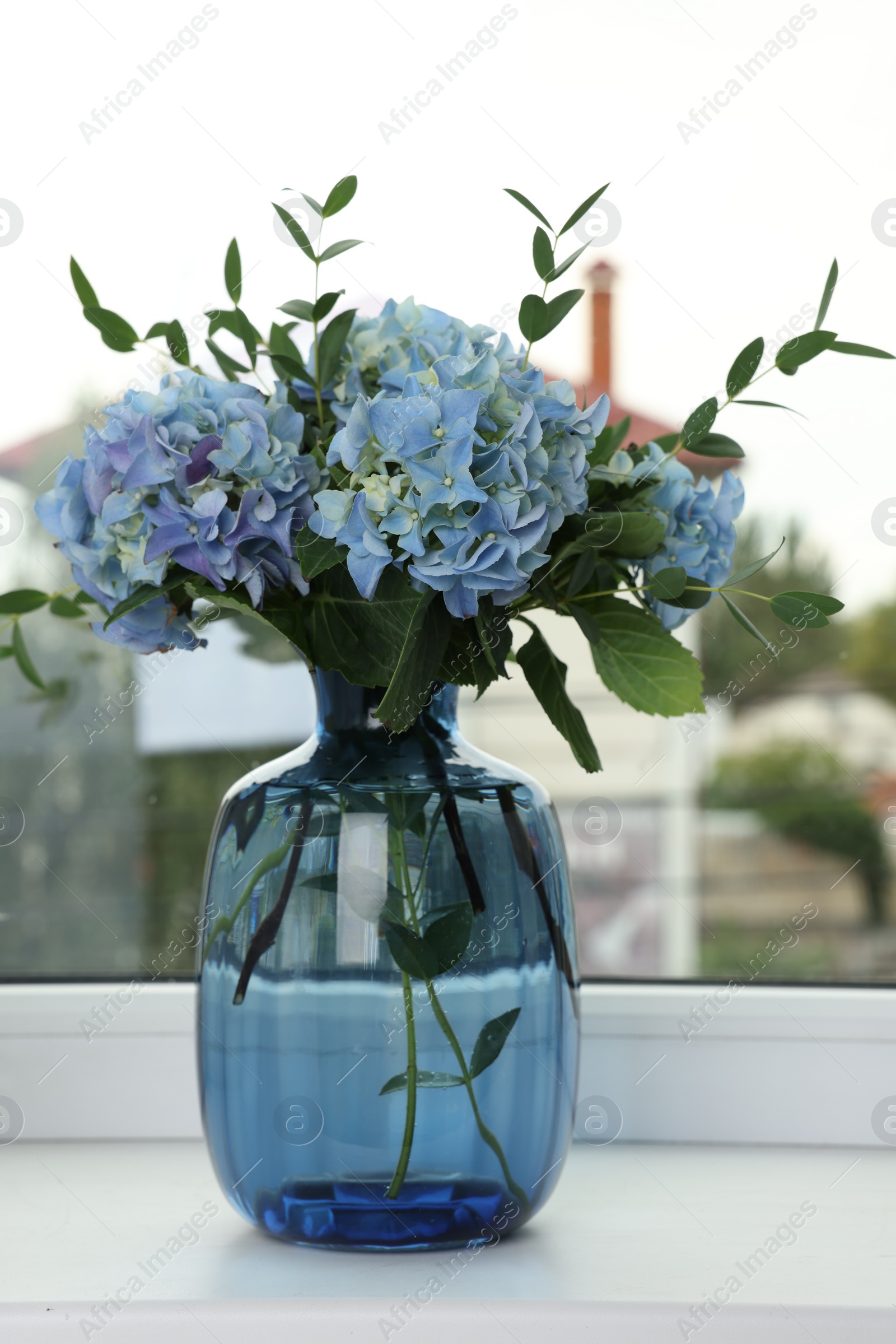 Photo of Beautiful blue hortensia flowers in vase on window sill indoors