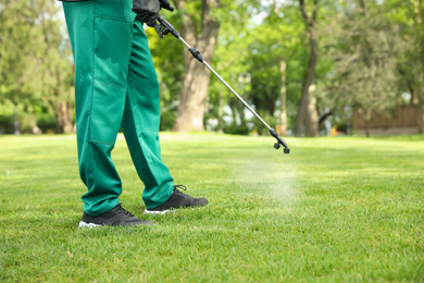 Photo of Worker spraying pesticide onto green lawn outdoors, closeup. Pest control