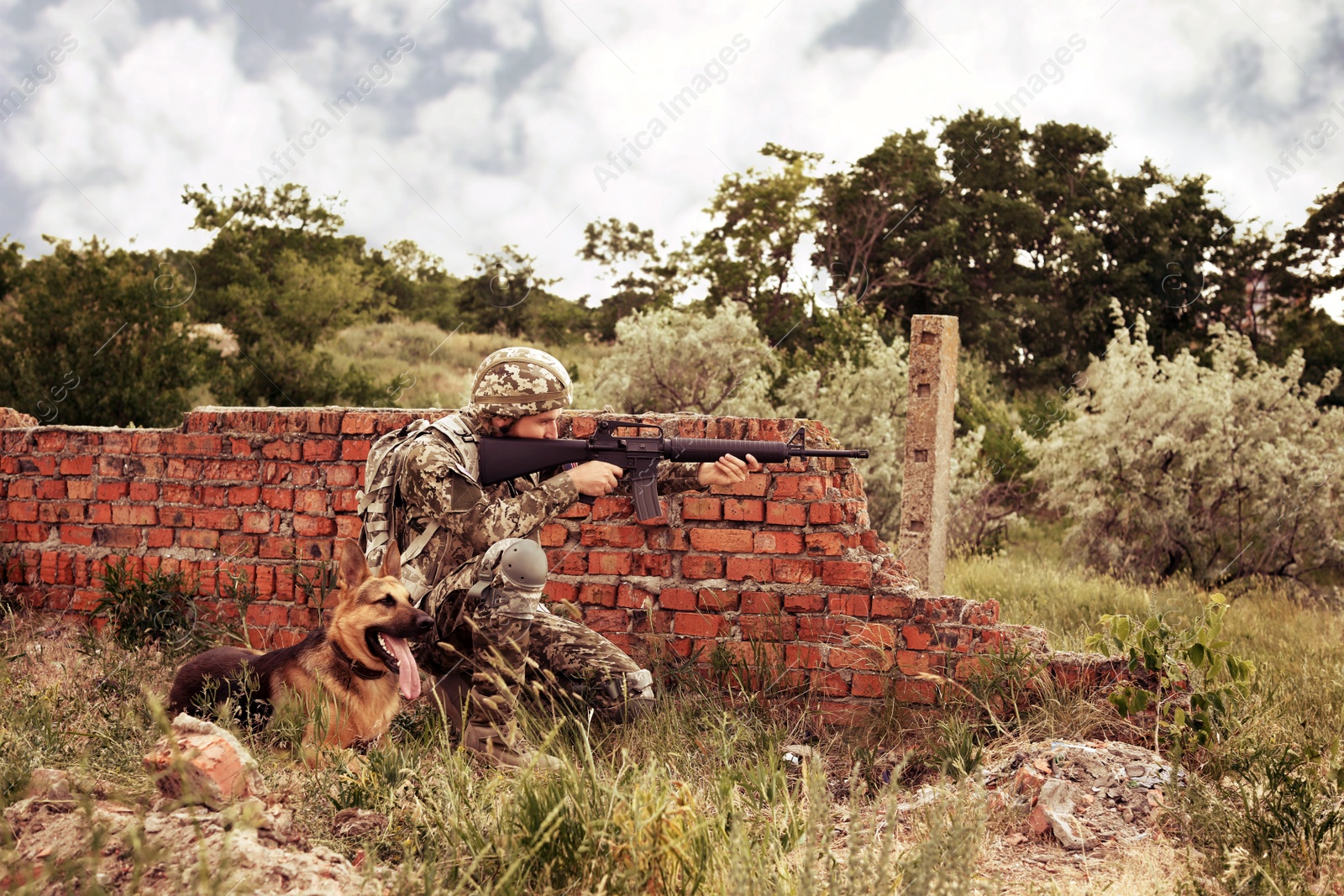 Image of Man in military uniform with German shepherd dog at firing range