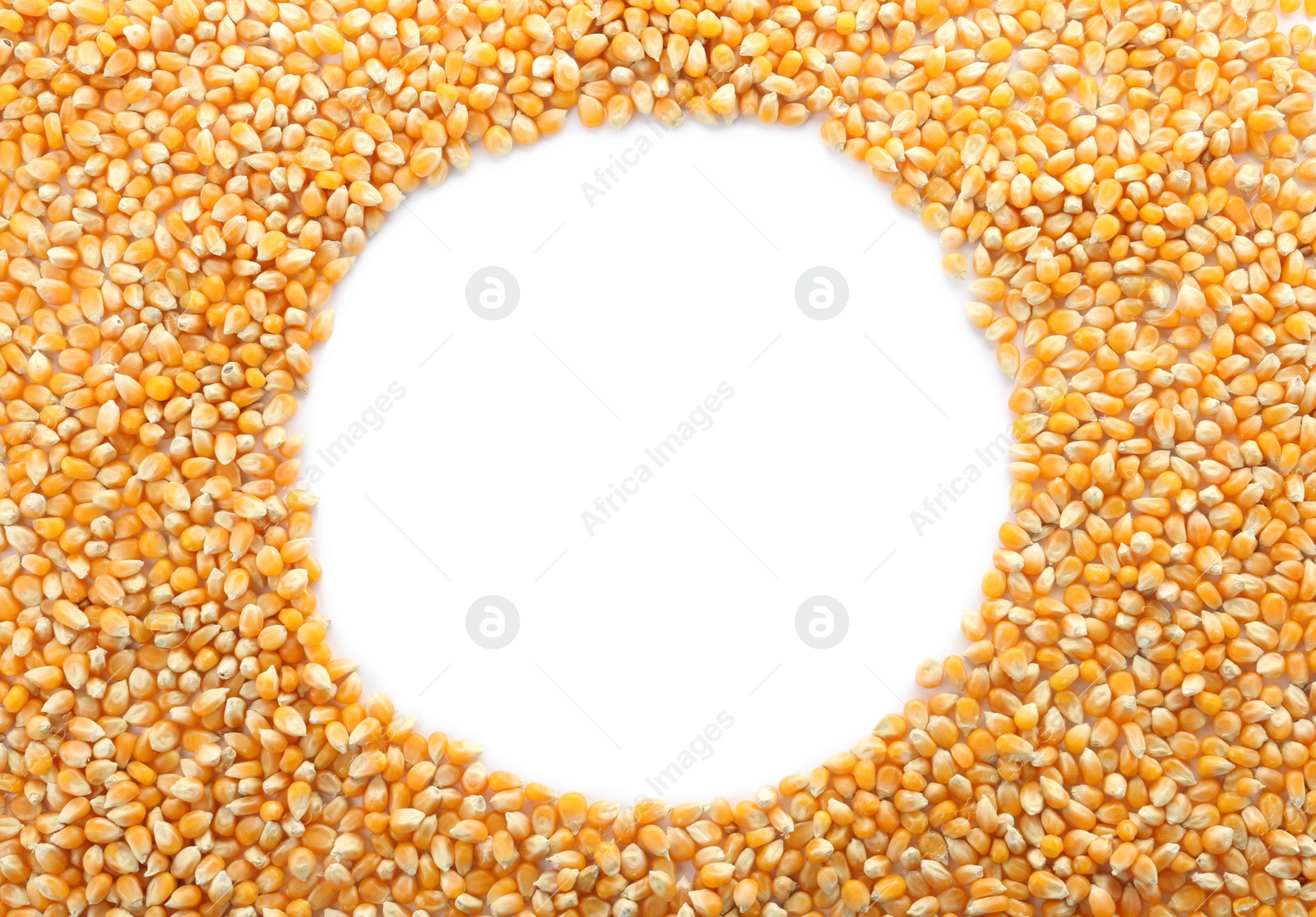 Photo of Raw corn kernels on white background. Healthy grains and cereals