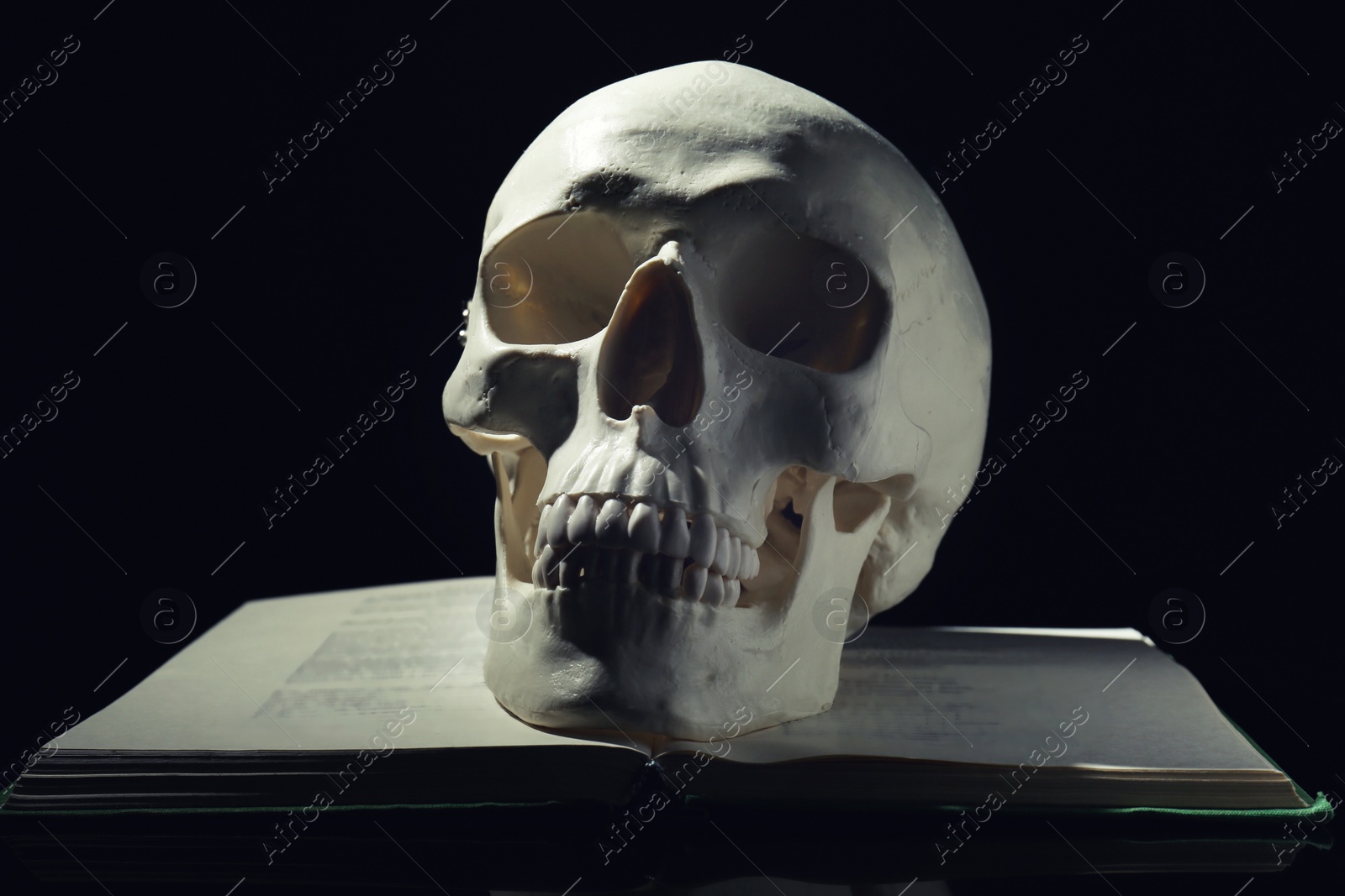 Photo of White human skull with book on black background