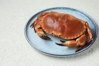 Photo of Delicious boiled crab on white textured table, space for text