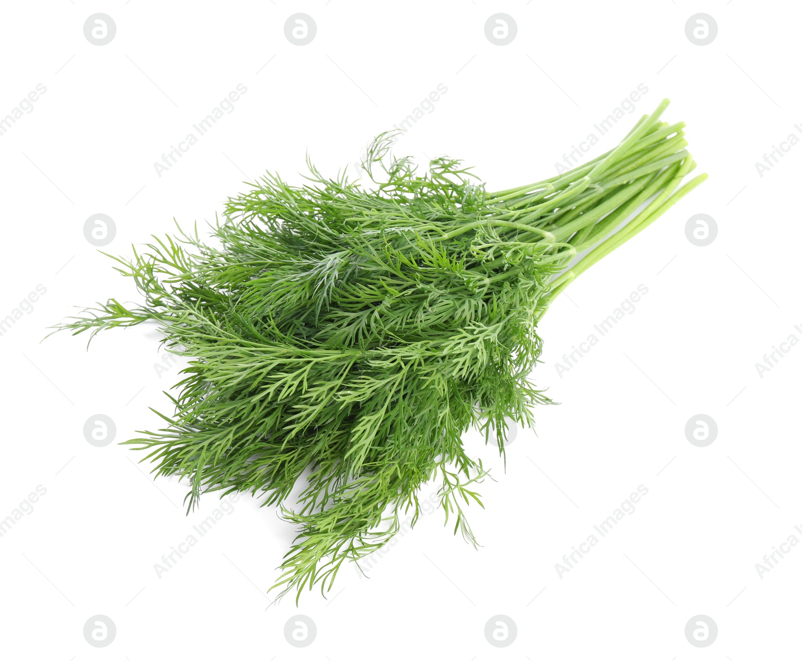 Photo of Fresh green dill branches isolated on white