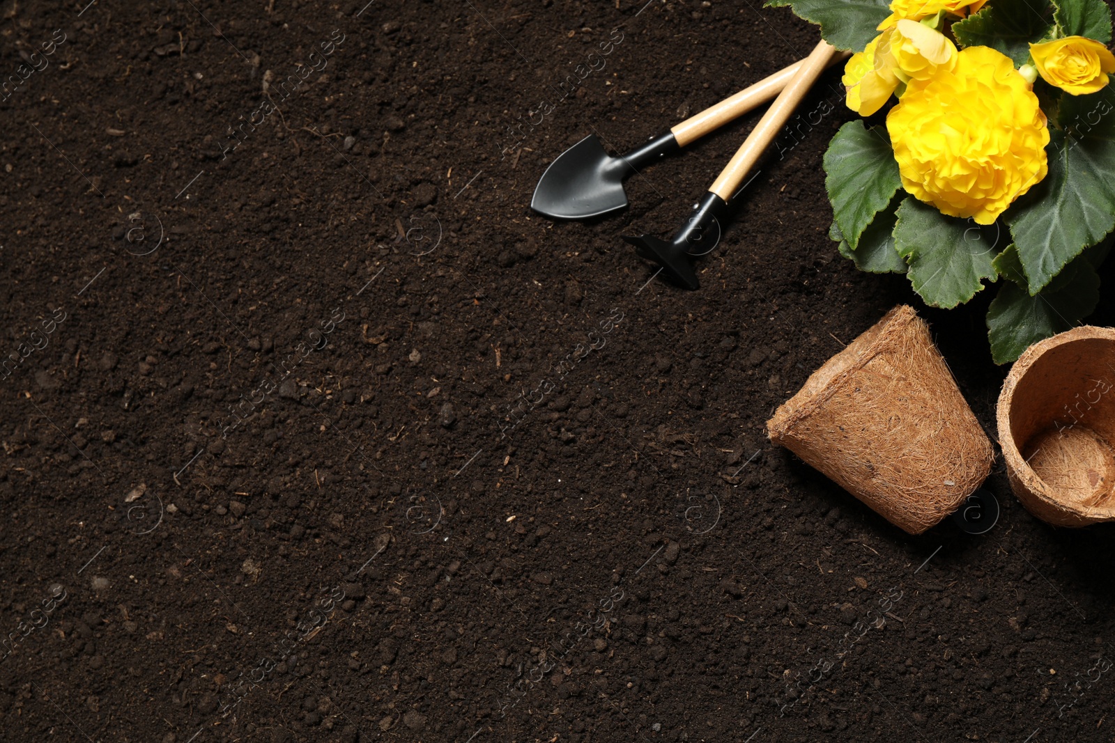 Photo of Flat lay composition with gardening tools and flower on soil, space for text