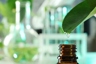 Clear drop falling from leaf into small bottle on blurred background, closeup with space for text. Plant chemistry