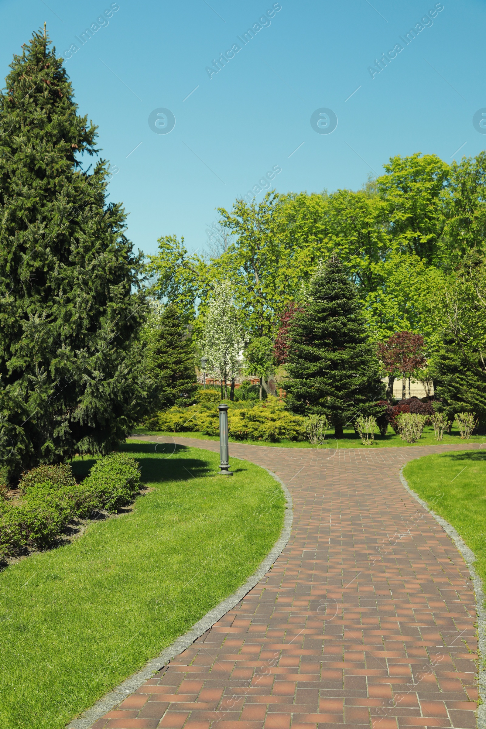 Photo of Picturesque view of beautiful park with fresh green grass and trees