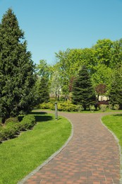 Picturesque view of beautiful park with fresh green grass and trees