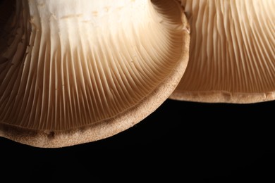 Photo of Macro photo of oyster mushrooms on black background